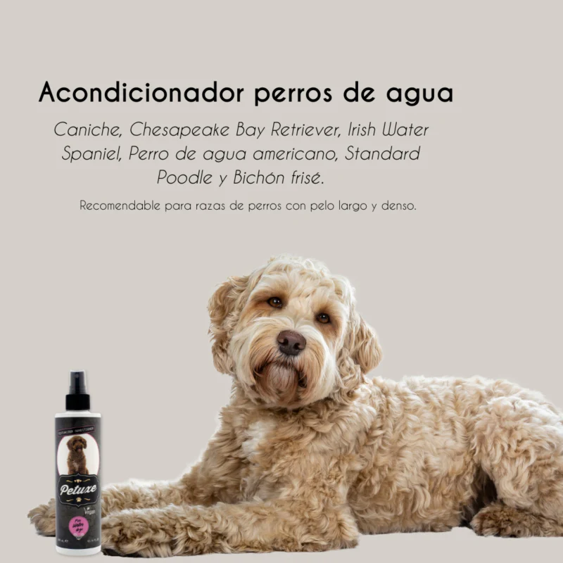 Acondicionador bifásico pelo rizado 300ml - Imagen 3
