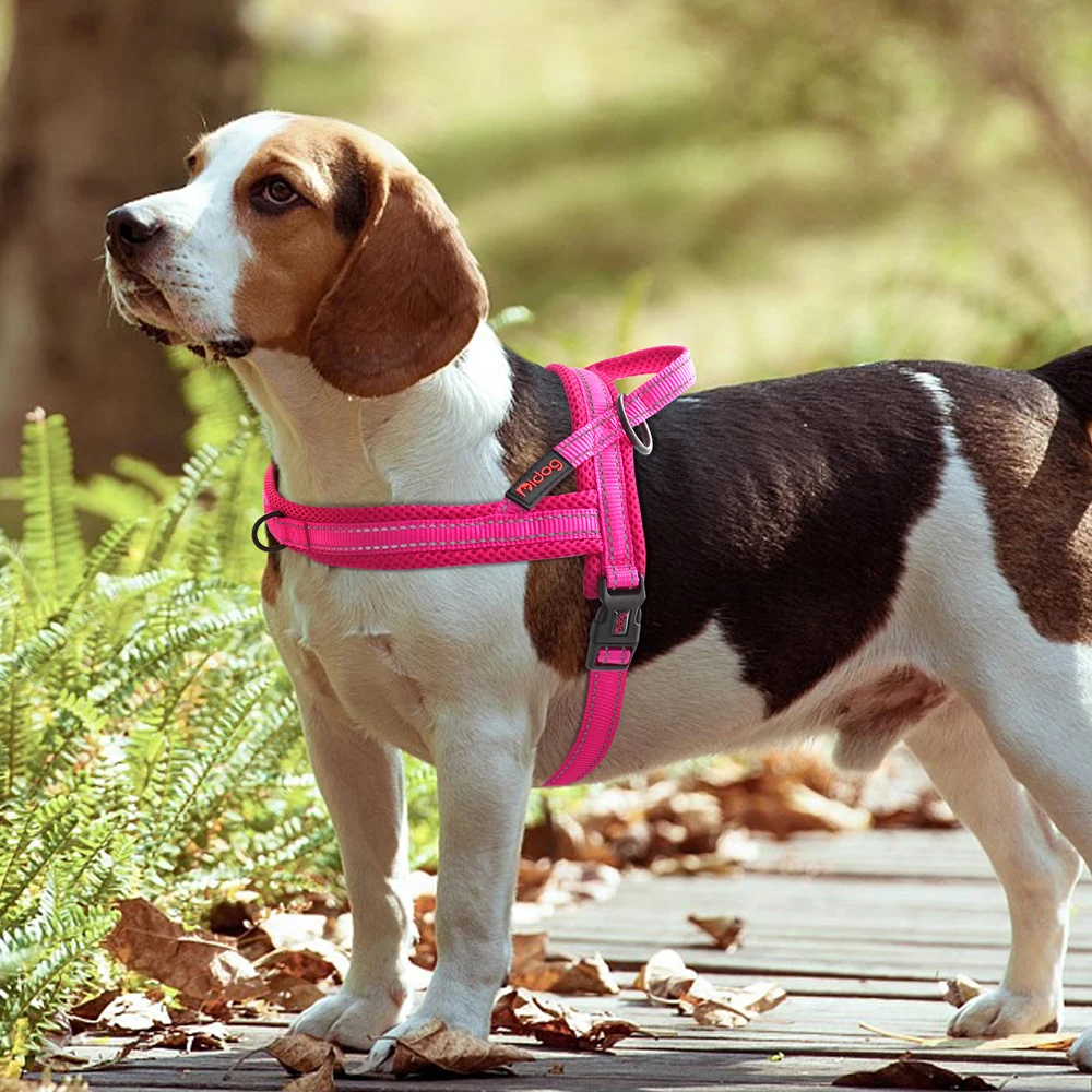 Arnes ajustable para perro - Imagen 5
