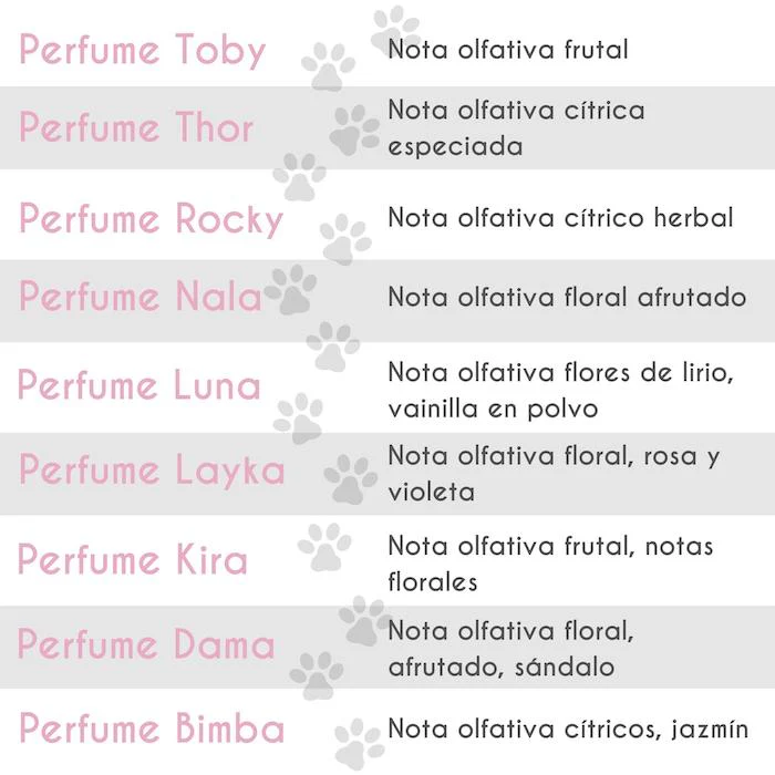 Perfume Dama 100ml - Imagen 2