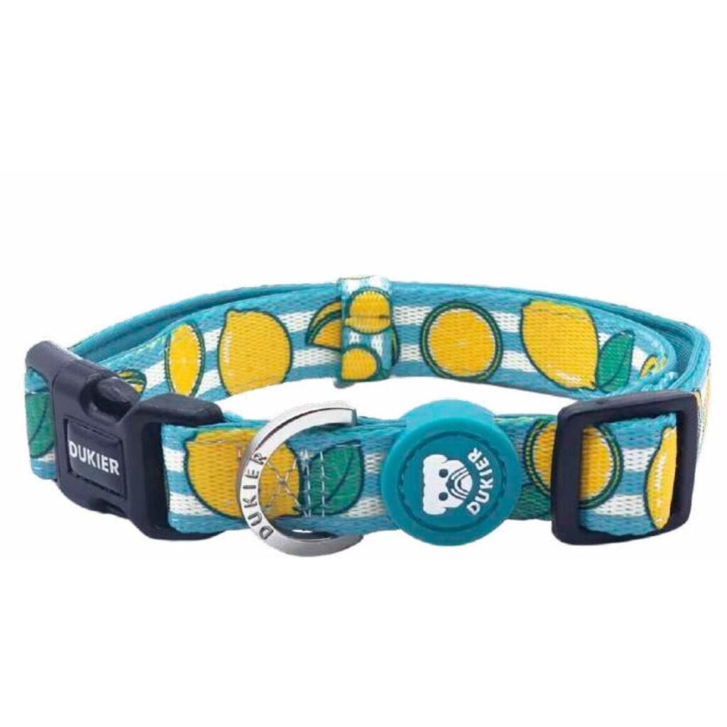 Collar de Perro Colección Lemons Dukier