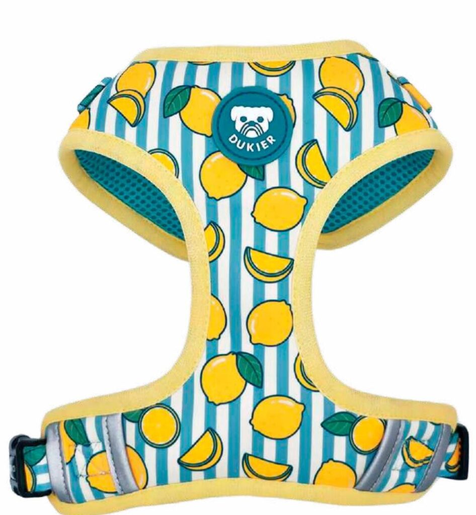 Arnés Ajustable Colección Lemons Dukier