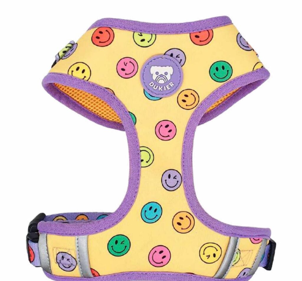 Arnés Ajustable Colección Smiley Dukier