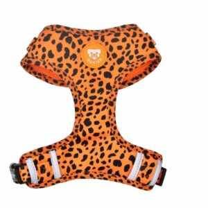 Arnés Ajustable Colección Cheetah Gold Dukier