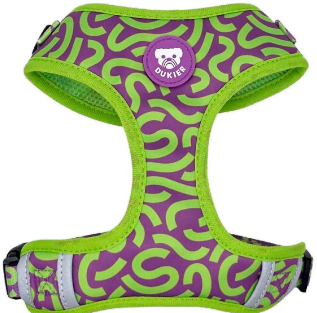 Arnés Ajustable Kaleido Lime Swirl Dukier