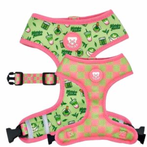 Arnés Reversible Colección So Matcha Dukier