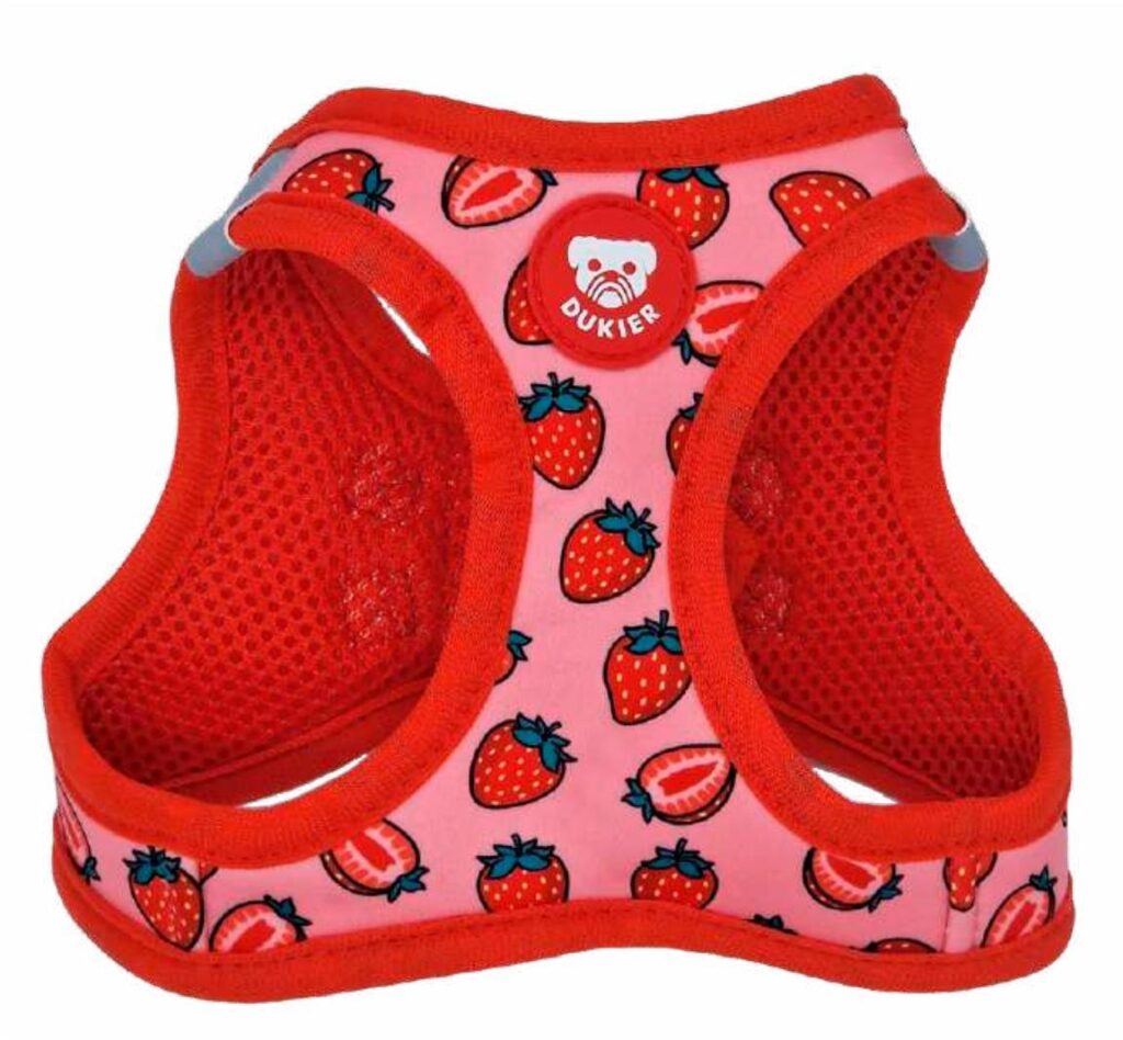 Arnés Body Colección Berry Love Dukier
