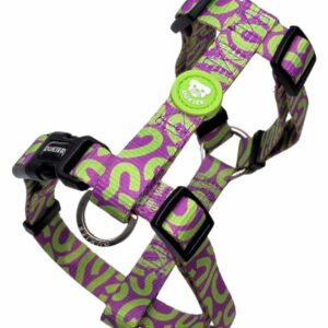 Arnés Clásico Kaleido Lime Swirl Dukier
