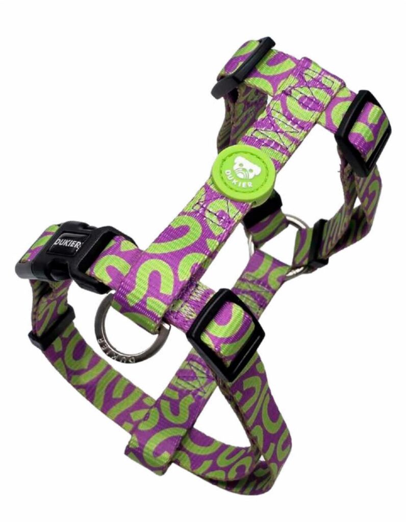 Arnés Clásico Kaleido Lime Swirl Dukier