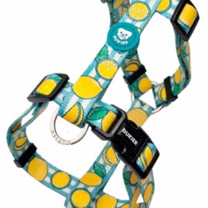 Arnés Clásico Colección Lemons Dukier