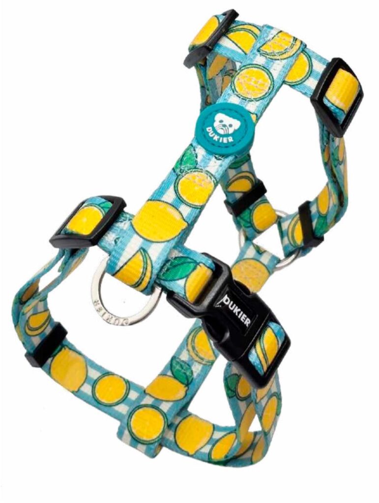 Arnés Clásico Colección Lemons Dukier