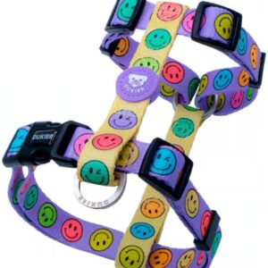 Arnés Clásico Colección Smiley Dukier