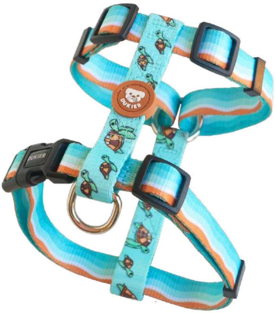 Arnés Clásico Colección Turtle Dukier