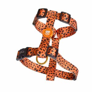 Arnés Clásico Colección Cheetah Gold Dukier