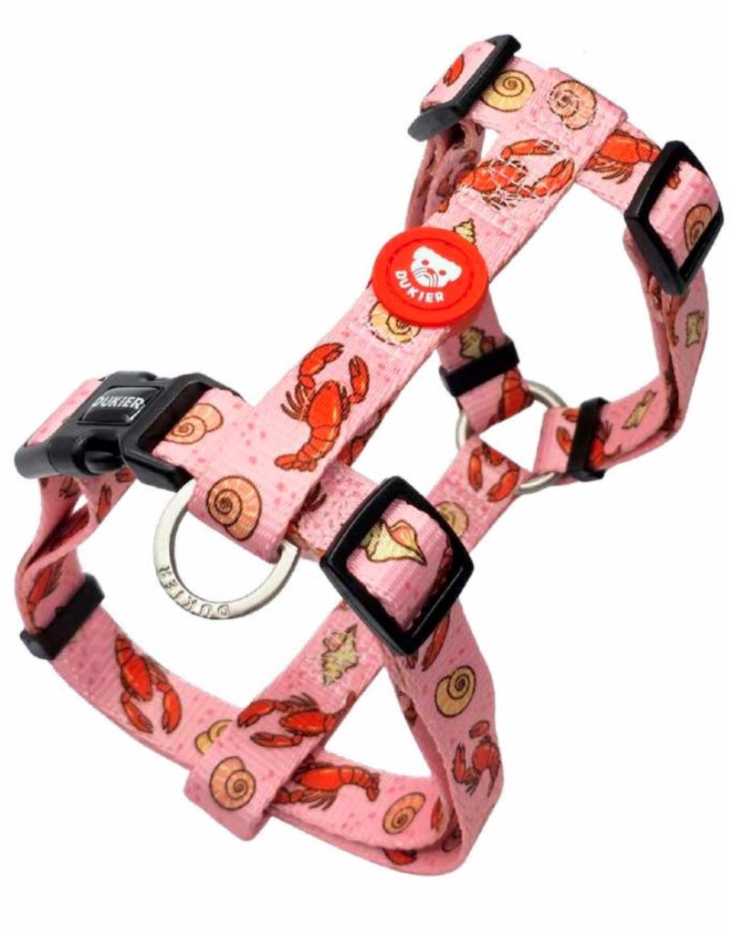 Arnés Clásico Colección Lobsters Dukier