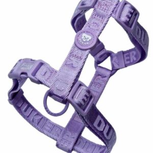 Arnés Clásico Colección Violet Dukier