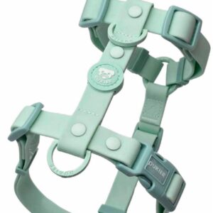 Arnés Clásico Colección Turquoise Waterproof Dukier