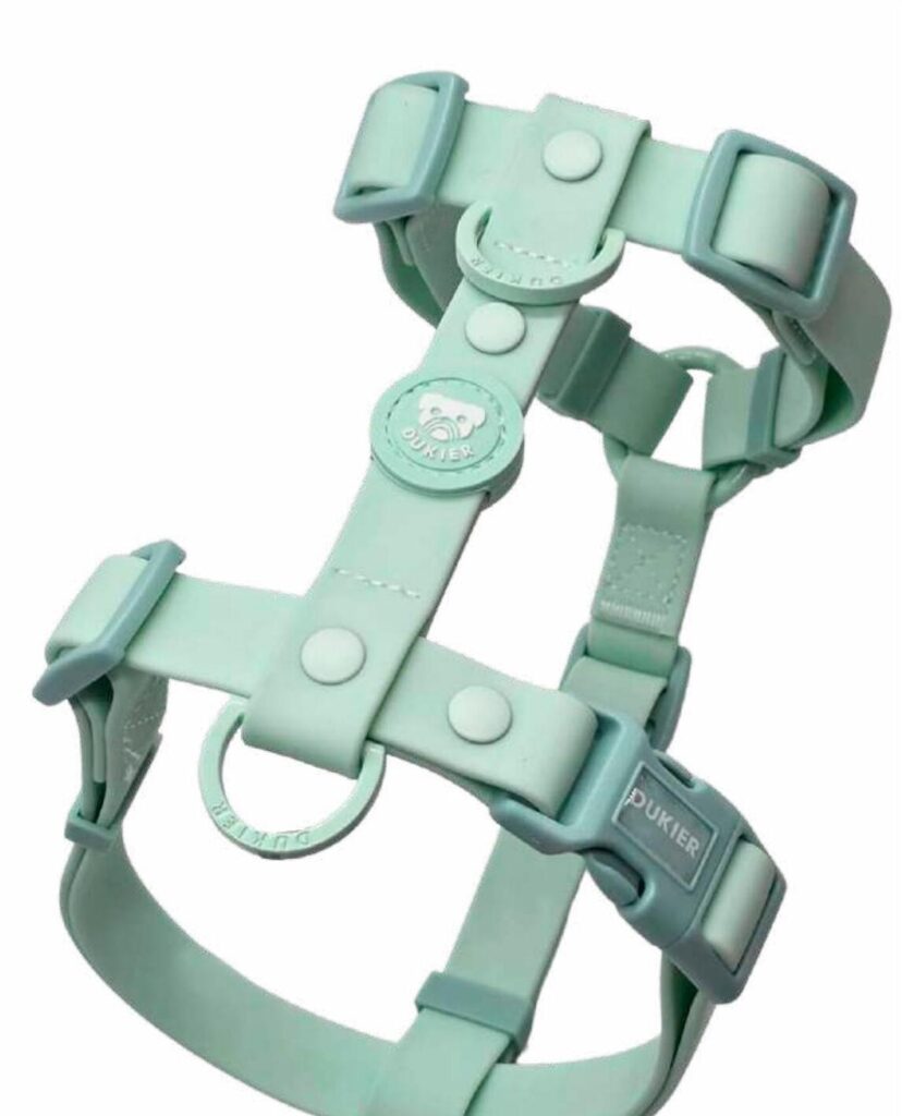 Arnés Clásico Colección Turquoise Waterproof Dukier