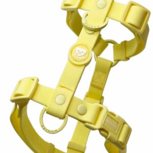 Arnés Clásico Colección Yellow Waterproof Dukier