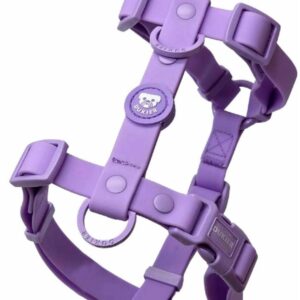 Arnés Clásico Colección Purple Waterproof Dukier