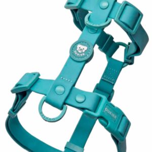 Arnés Clásico Colección Mint Waterproof Dukier