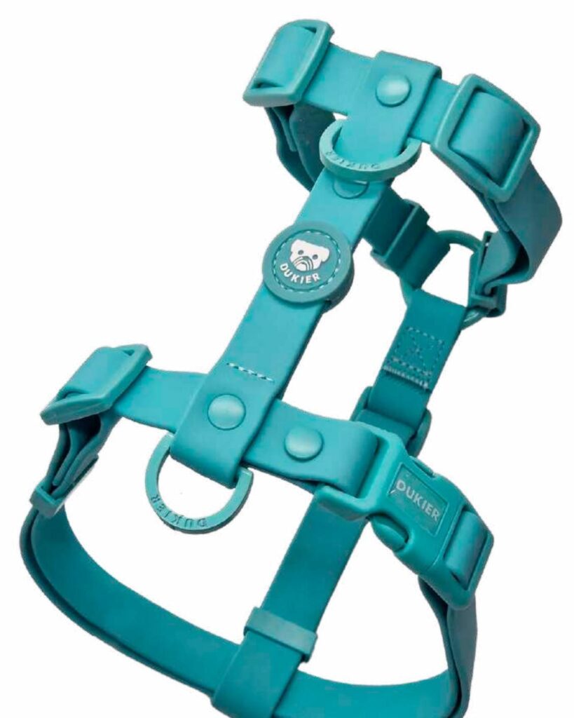 Arnés Clásico Colección Mint Waterproof Dukier