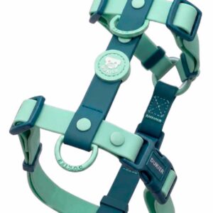 Arnés Clásico Colección Jade Mint Waterproof Dukier