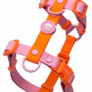 Arnés Clásico Colección Tangerine Pink Waterproof Dukier