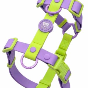 Arnés Clásico Colección Violet Matcha Waterproof Dukier
