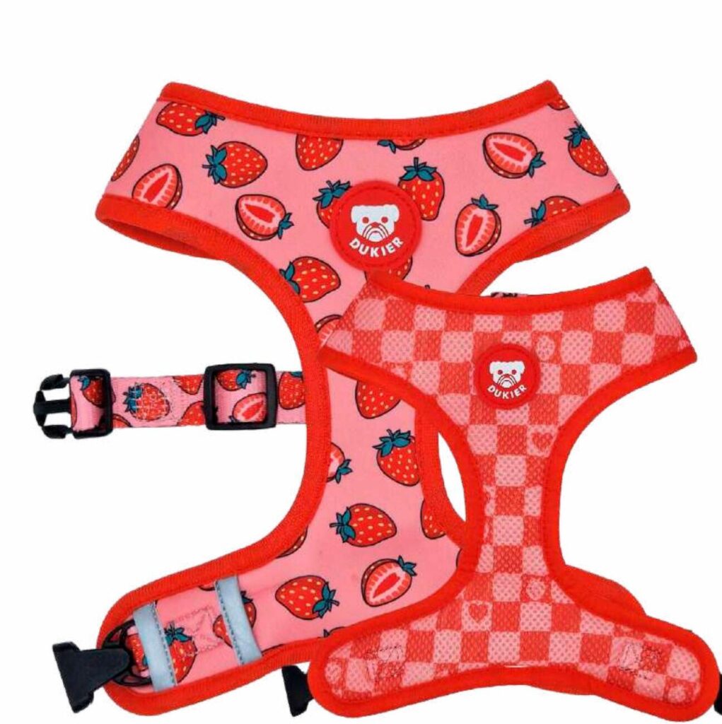 Arnés Reversible Colección Berry Love Dukier
