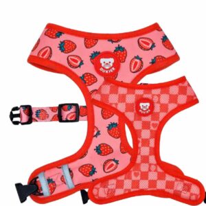 Arnés Reversible Colección Berry Love Dukier