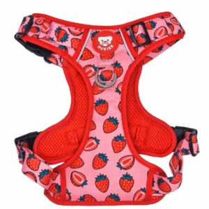 Arnés Trail Colección Berry Love Dukier