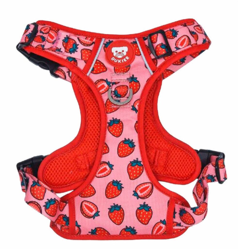 Arnés Trail Colección Berry Love Dukier