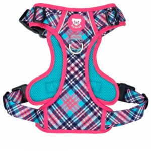 Arnés Trail Colección Tartán Pink Dukier