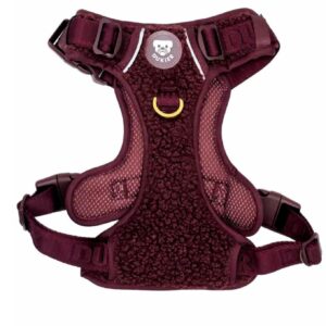 Arnés Trail Colección Teddy Cherry Dukier