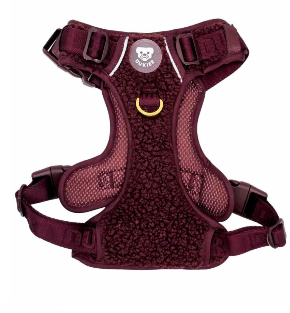 Arnés Trail Colección Teddy Cherry Dukier