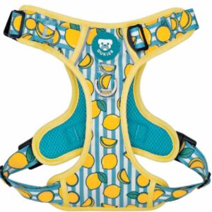 Arnés Trail Colección Lemons Dukier