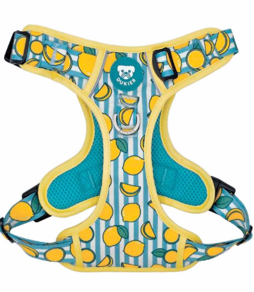 Arnés Trail Colección Lemons Dukier