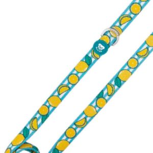 Correa Colección Lemons Dukier