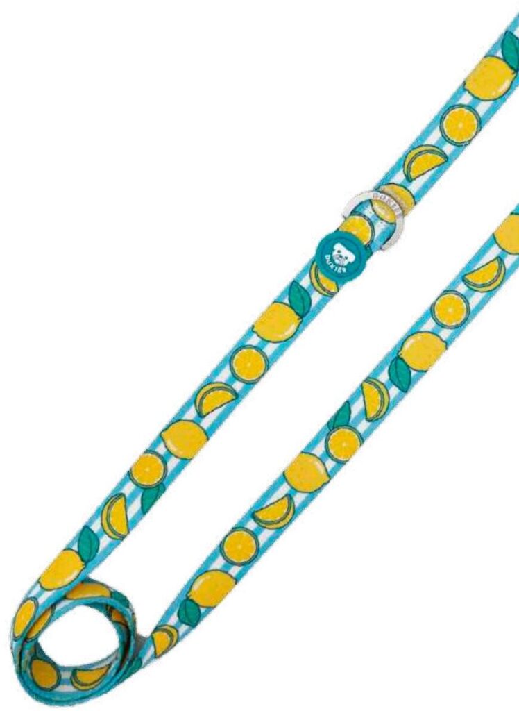 Correa Colección Lemons Dukier