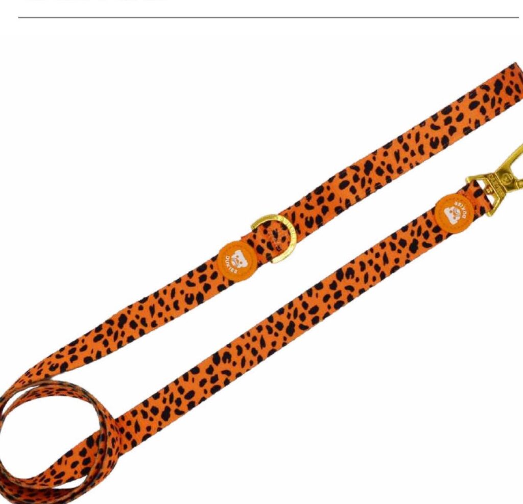 Correa Colección Cheetah Gold Dukier