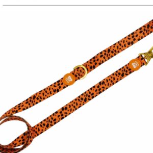 Correa Colección Cheetah Gold Dukier