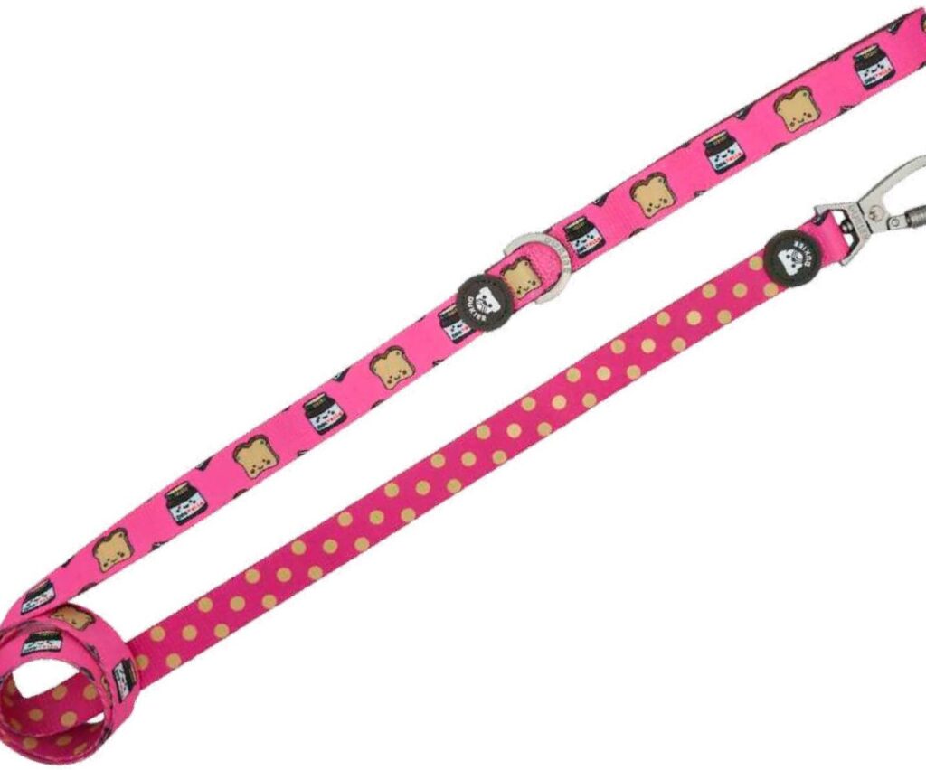 Correa Colección Dogtella Dukier