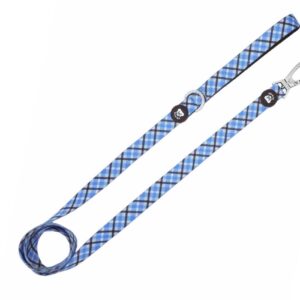 Correa Colección Tartán Blue Dukier