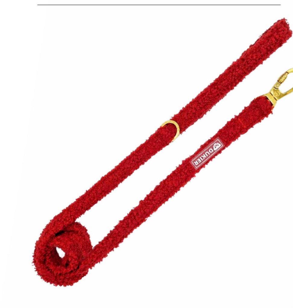 Correa Colección Teddy Red Dukier