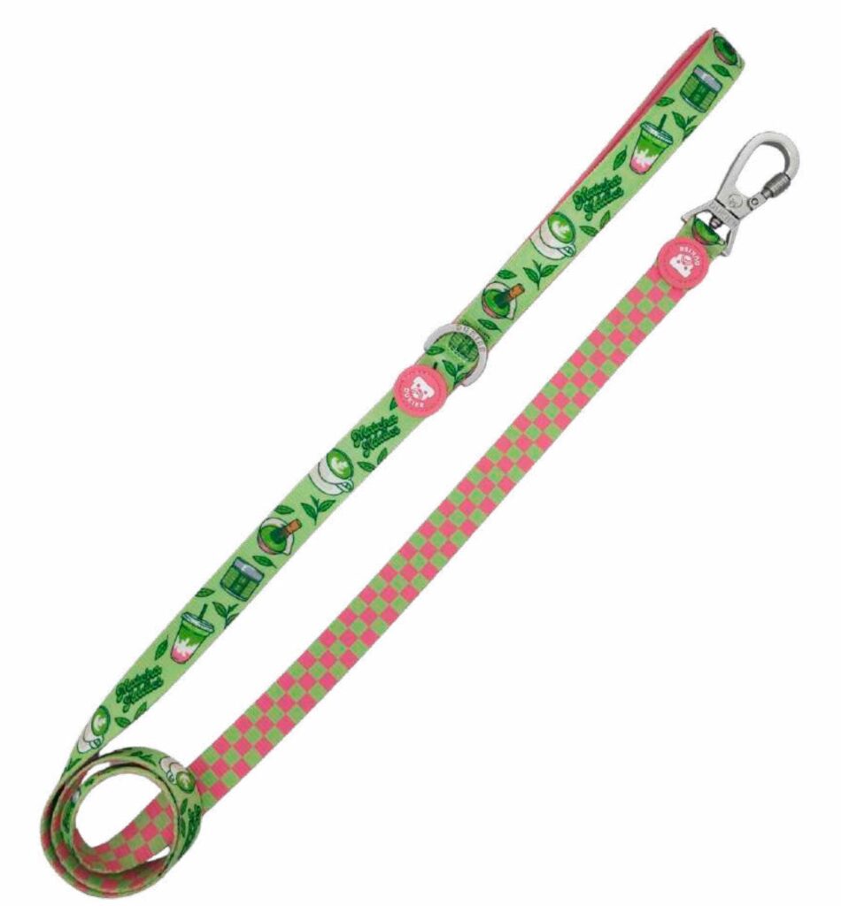 Correa Colección So Matcha Dukier