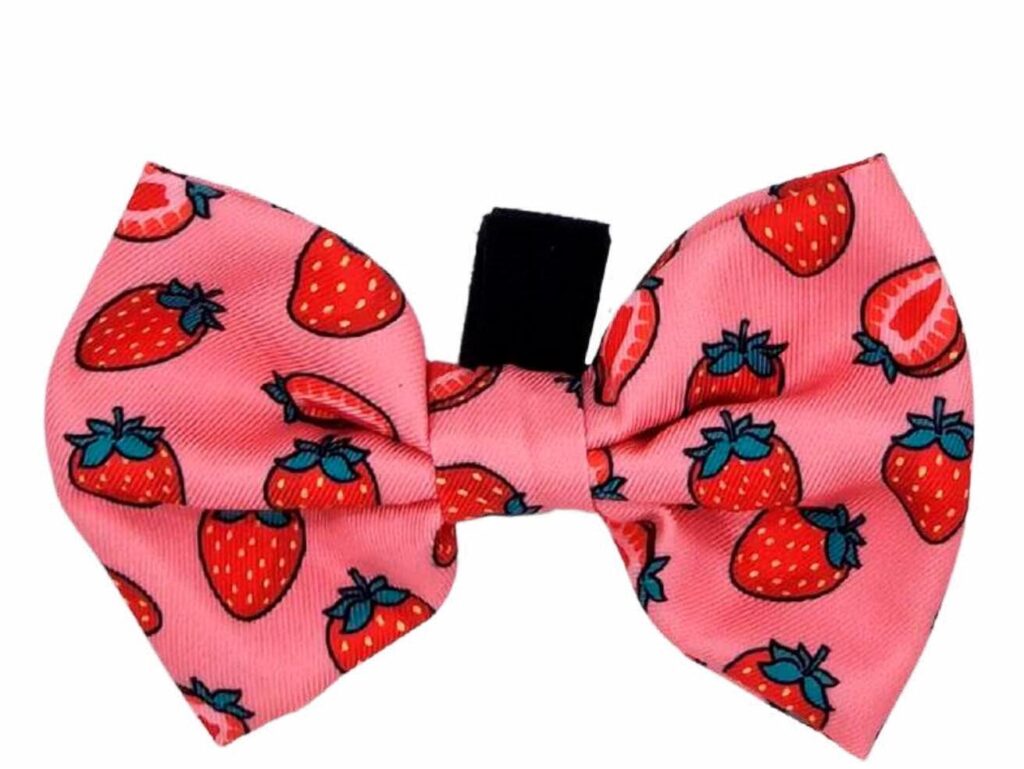 Pajarita Colección Berry Love Dukier