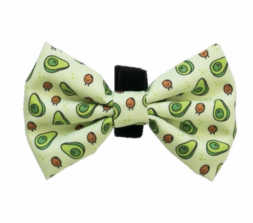 Pajarita Colección Avocado Dukier